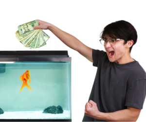 Michael Reeves goldfish: la historia completa